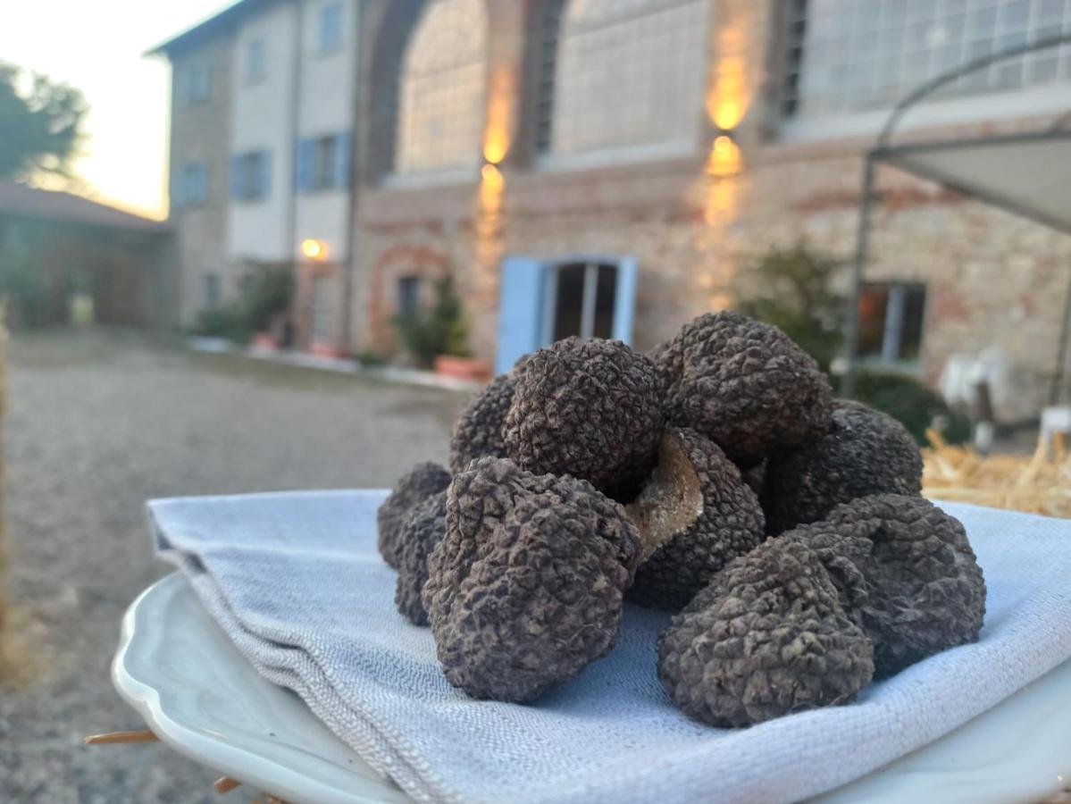 Tenuta San Giorgio 塞拉瓦莱·斯克里维亚 外观 照片